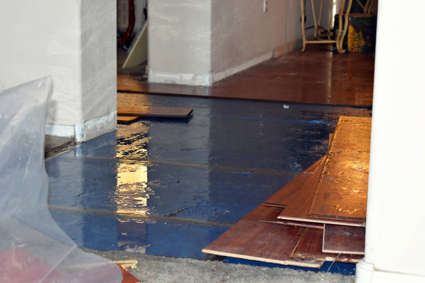Professional Burst Pipe Cleanup technician working in Rosenberg, TX